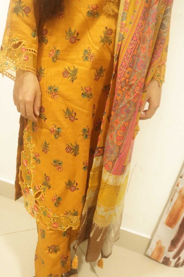 Sada Bahar Embroidered suit - Image 4